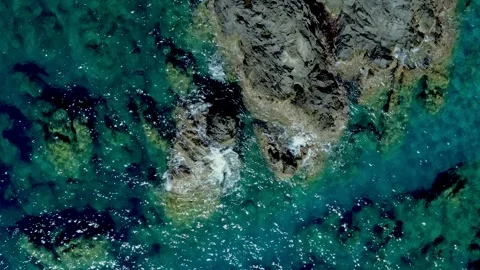 Calm Ocean Waves Gently Lap Against Rocky Shore in Sunny Coastal Location 動画素材 317761753