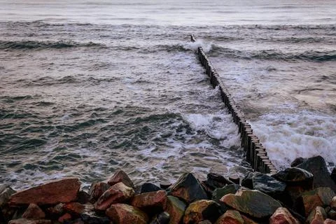 Calm Ocean Waves Gently Lap Against a Rocky Jetty at Dawn Near a Serene Coa.. Stock Photos