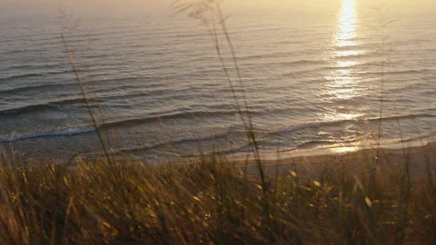 Calm ocean waves gently lapping on a sandy beach during a beautiful golden hour Stock Footage 344167052