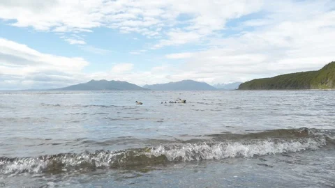 Calm ocean waves hitting mountainous coast, Patagonia, Chile Stock Footage 137955870