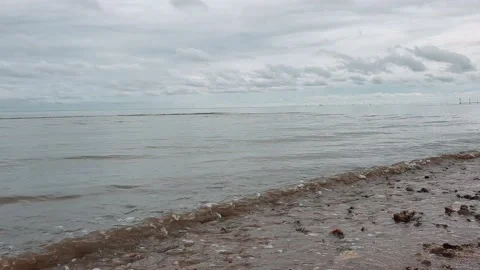 Calm ocean waves on muddy sandy beach Stock Footage 146312305