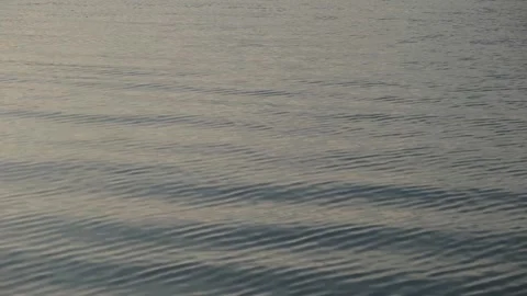 Calm Ocean Waves Reflect Evening Sunlight Stock-Footage 307683369
