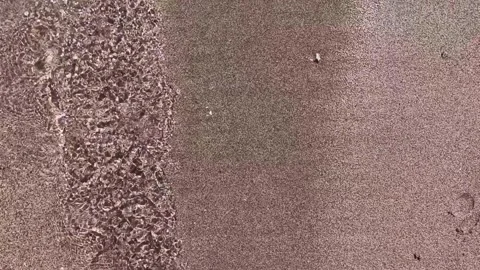 Calm Ocean Waves Washing Beach Sand Stock-Footage 301014919