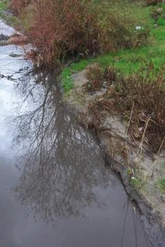 A Calm Old River with Reflection of a Tree Stock Photos