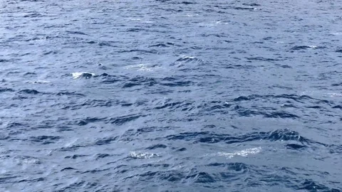 Calm open ocean surface with gentle waves Видео 348070856