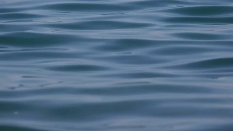 Calm open water with soft ripples and gentle wave patterns filling the frame. Mi Видео 341408681