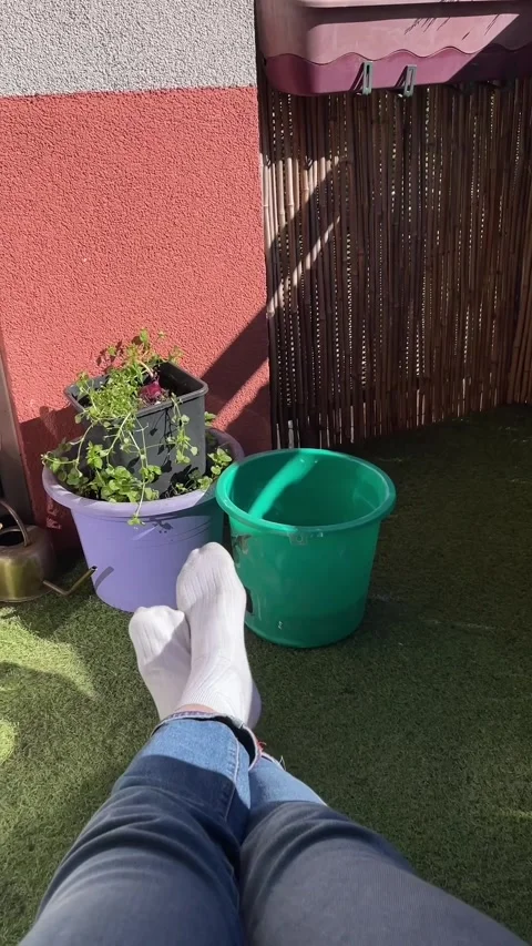 Calm outdoor scene. Tranquil backyard space with relaxing elements Video stock 341672669