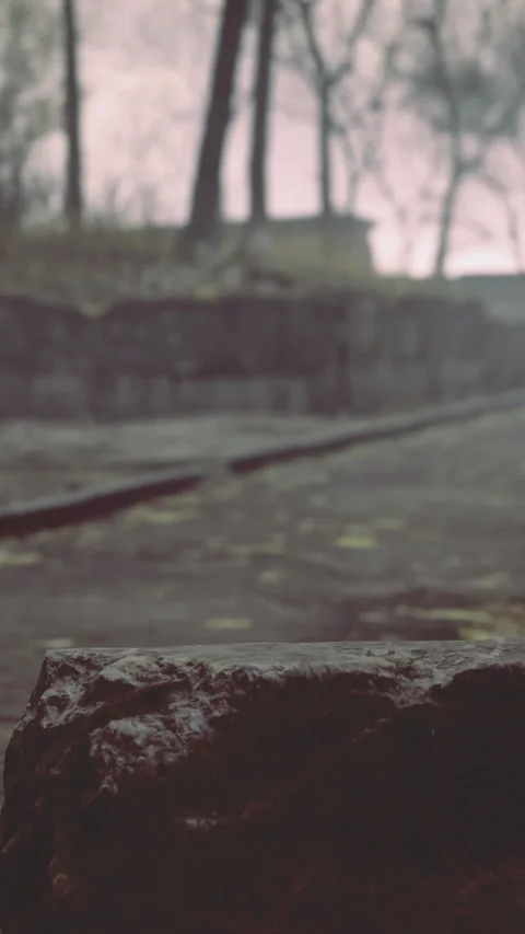 Calm overcast setting featuring layered textures and scattered foliage Stock Footage 329017199