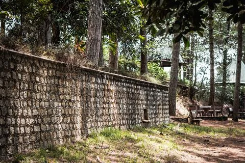Calm park forest empty landscape. Benches among green leaves trees ancient pine Stock Photos