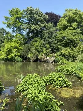 Calm park stream flowing through lush green foliage Stock Photos