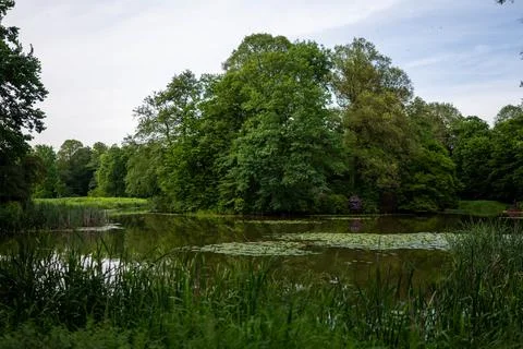 Calm pond in a park surrounded by dense green trees and lush coastal vegetation Stockfoto's