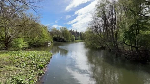 Calm Pond Surface Reflecting Trees and Sky in Amsterdam Forest Stock-Footage 334150358