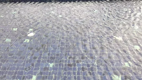 A Calm Pool Stock Footage 340270709