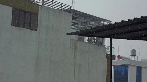 Calm rain falling on earth Stock Footage 321040149