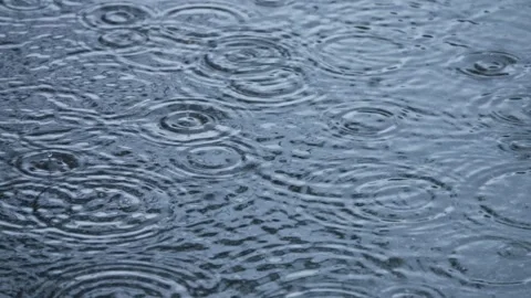 A calm rainfall creates a soothing atmosphere on the waters surface, enhancing Stock Footage 314989702