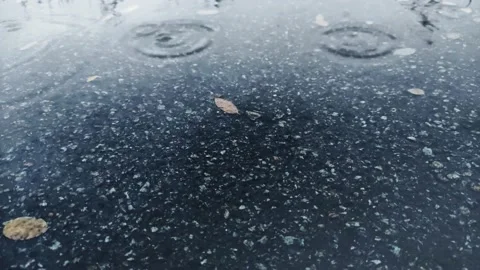 Calm rainy day drops falling into the puddle make small bubbles. Video stock 161152508