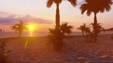 Calm red orange clouds sunset dusk palm coco beach waves paradise vacation scene Vidéo 181449019