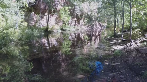 Calm Reflecting Pool- West Fork Creek- Sedona Arizona Stock Footage 312356758
