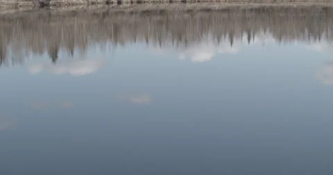 Calm Reflection of Clouds and Trees in a Lake Stock Footage 152959590