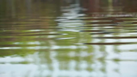 Calm reflection of willow trees on the lake Stock Footage 257170238