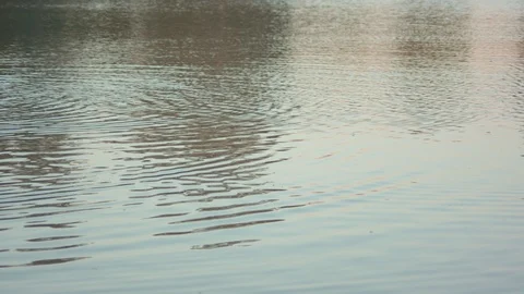 Calm Reflections in a Pond Stock Footage 90189256