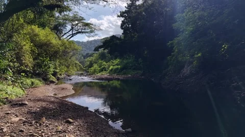 Calm Reflective River Pool Under Jungle Canopy Tunnel Palawan 스톡 동영상 331588343