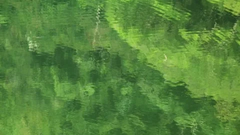 Calm ripples of lake with reflection of green trees Stock Footage 320104651