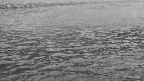 Calm Rippling Water Surface Black and White, Serene Moody Slow Motion Stock Footage 326225419