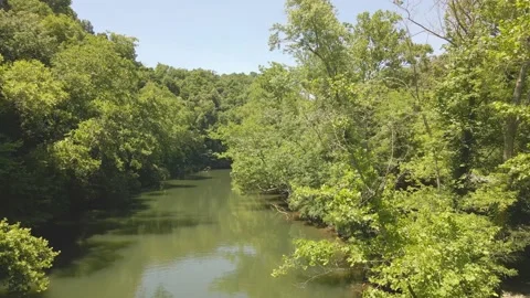 Calm River 04 Video stock 236493291