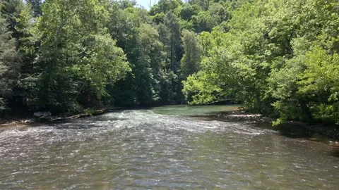 Calm River 08 Video stock 236493844