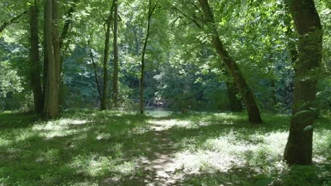 Calm River 10 Stock Footage 236494271