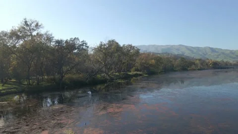 Calm River 16 Video stock 236498913