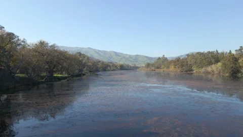Calm River 17 Stock Footage 236498914