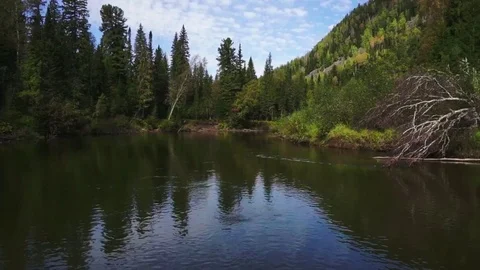 Calm river and hill Stock Footage 81662988