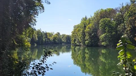 Calm river bend surrounded by lush green forest and blue sky Stock Photos