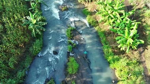 Calm River with Bridge, Greenery, and Person Walking in the Water Stock Footage 309914302
