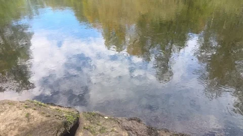 Calm River Creating A Perfect Mirror Reflection Of Autumn Forest Stock Footage 348136473
