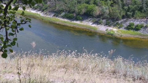 Calm river current with a rocky bank and dry grasses in the foreground Stock Footage 340645577