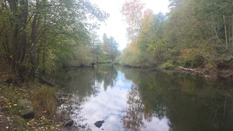 Calm River Curving Through Bright Autumn Forest Reflecting Sky Stock Footage 348136800