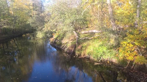 Calm River Curving Through A Bright Sunlit Autumn Forest Stock Footage 348174243
