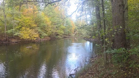 Calm River Curving Through A Dark Autumn Forest Reflecting Trees Stock Footage 348165975