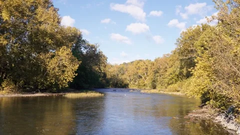 Calm River During Autumn Stock Footage 305585811