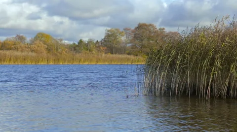 Calm river during autumn time. 動画素材 49413504