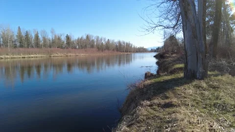 A calm river during the fall Stock Footage 167571150