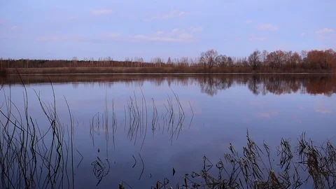 Calm river during sunset 動画素材 123118090