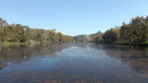 Calm River Fall Foliage 05 Stock Footage 236498985
