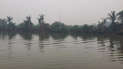 Calm River Flow with Gentle Ripples and Lush Riverside Trees in West borneo Stock Footage 346430105