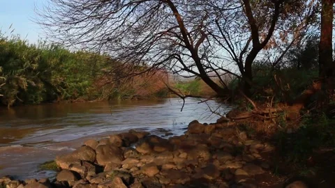 Calm River Flow Through Forested Bank at Sunset Stock Footage 327293243