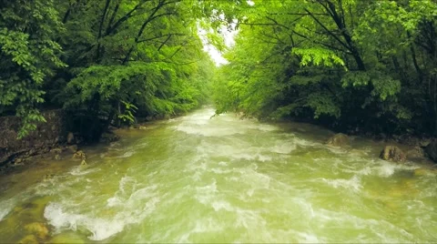 Calm River Flowing Down Among Lush Greenery In Forest Stock-Footage 53496362