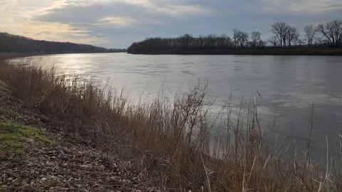 Calm river flowing downriver with shoreline grasses Stock Footage 331764459